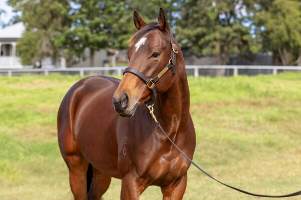 Lot 90: The Autumn Sun / Talimena