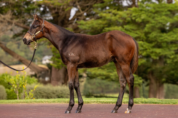 Lot 36: Stay Inside / Perfect Persuasion