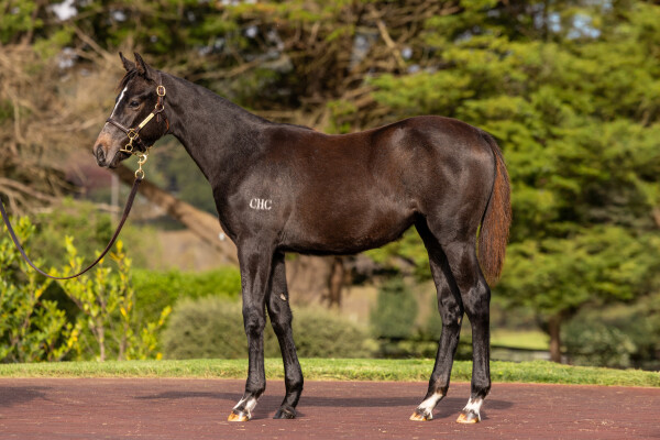 Lot 363: Russian Revolution / Ecumenical