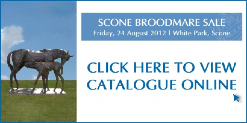 2012 Scone Broodmare Sale
