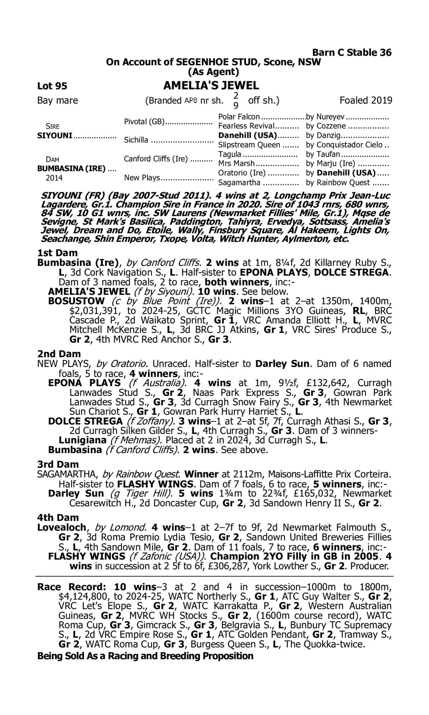 Pedigree for Lot 95 Siyouni (FR) - Bumbasina (IRE)