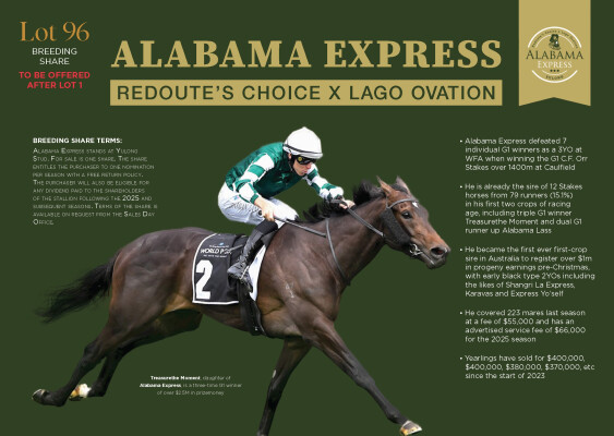 Lot 96: Redoute's Choice / Lago Ovation