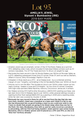 Lot 95: Siyouni (FR) / Bumbasina (IRE)