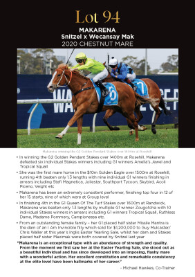 Lot 94: Snitzel / Wecansay Mak