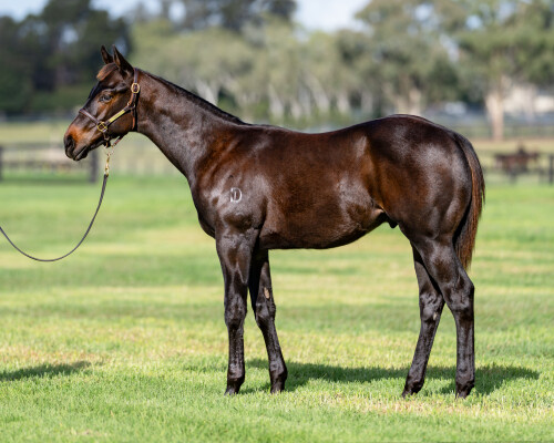 Lot 567: Headwater / Money Wanted