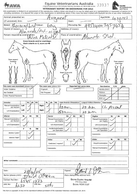 Breeding Report for Lot 32