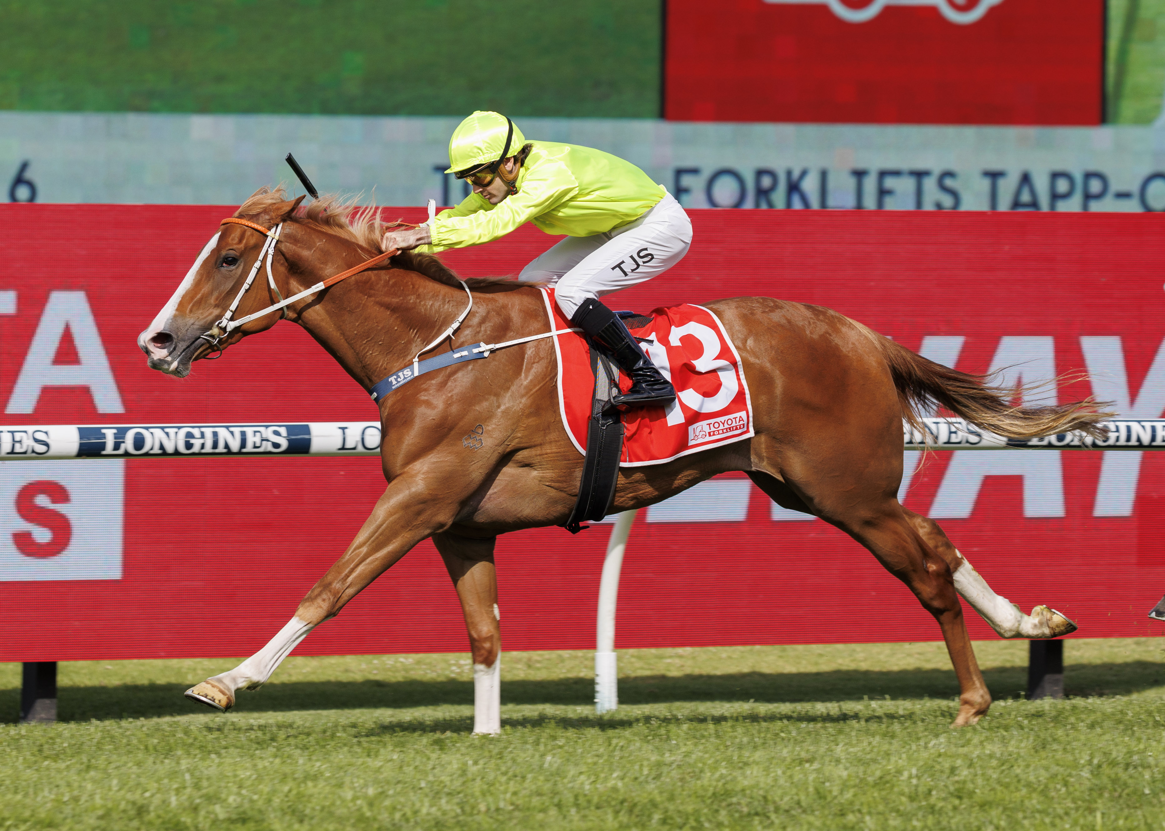 G2 winner Makarena joins Chairman's as supplementaries finalised