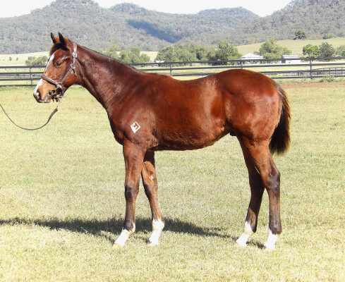 Lot 184: St Mark's Basilica (FR) / Tender