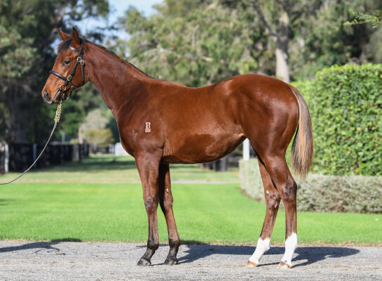 Lot 507: Home Affairs / London Designer