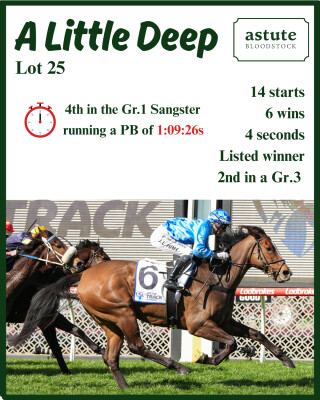 Lot 25: Deep Field / Laugh a Little