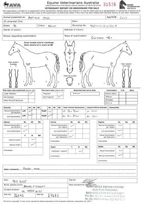 Breeding Report for Lot 30