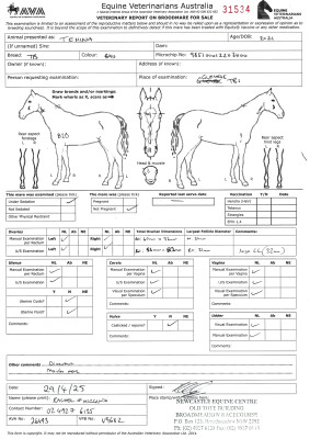 Breeding Report for Lot 14
