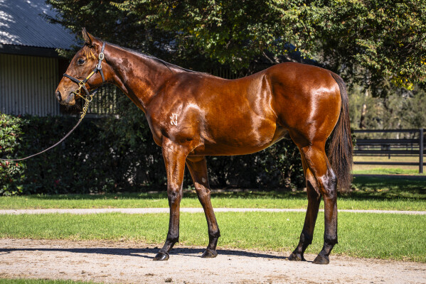 Lot 93: Written By / Ruby Flo