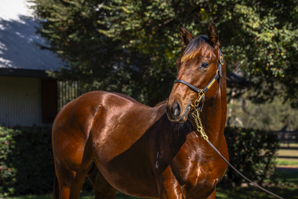 Lot 93: Written By / Ruby Flo