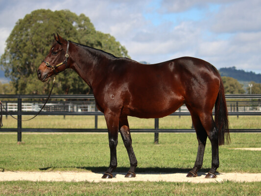 Lot 289: Fastnet Rock / Tavarnelle