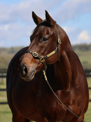 Lot 289: Fastnet Rock / Tavarnelle