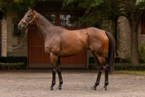 Lot 70: I Am Invincible / Mefnooda