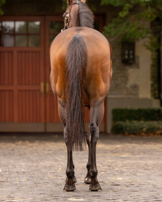 Lot 70: I Am Invincible / Mefnooda