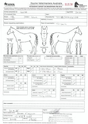 Breeding Report for Lot 64