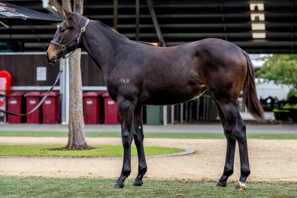 Lot 563: Artorius / Mistress of Doom