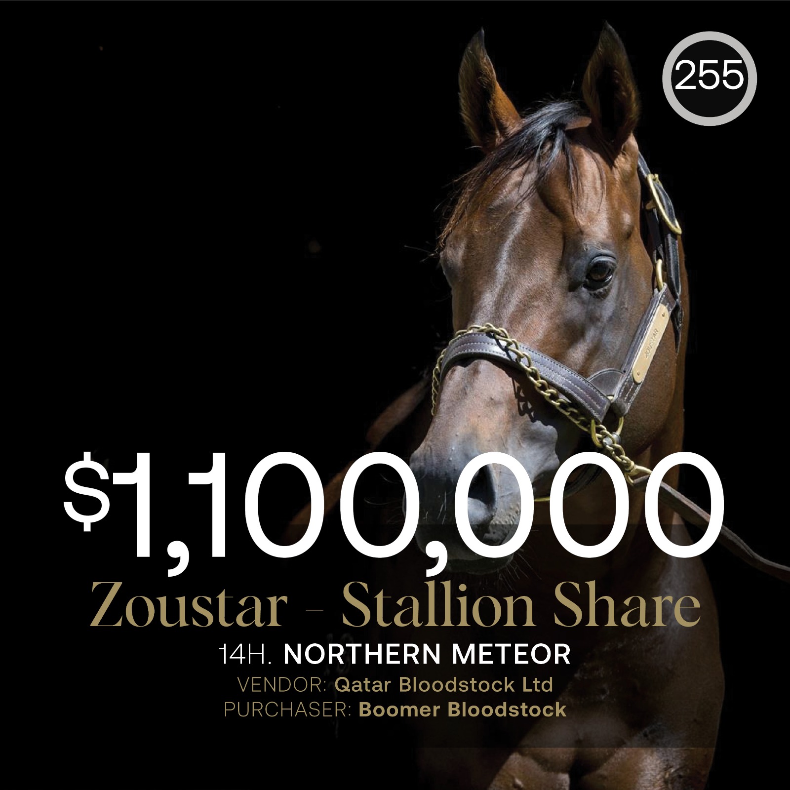 Zoustar share realises $1.1m in April (Late) Online Sale