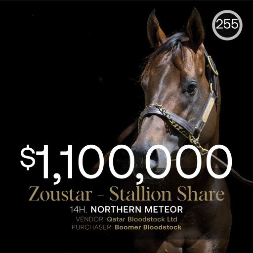 Zoustar share realises $1.1m in April (Late) Online Sale