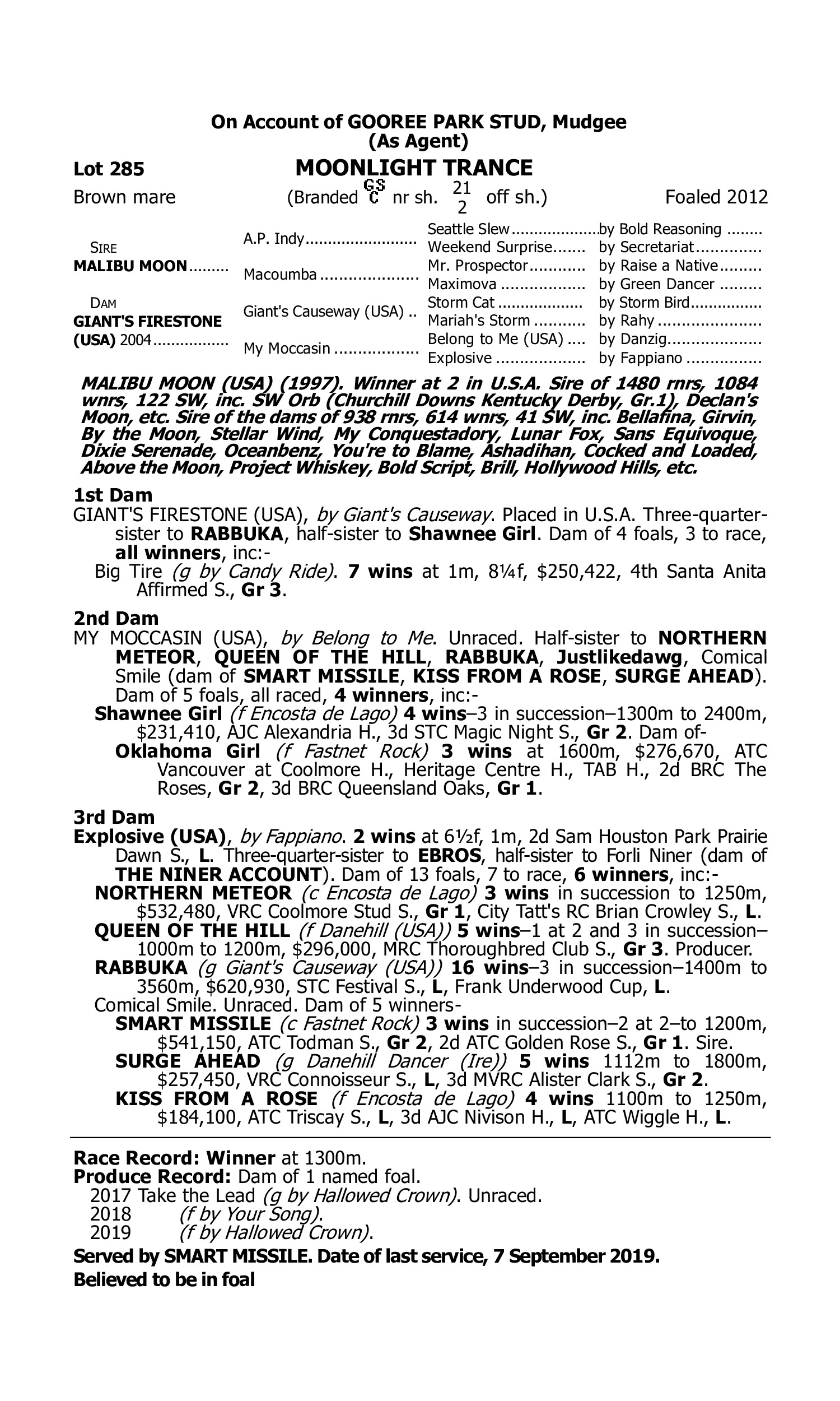 Pedigree for Lot 285 Malibu Moon (USA) - Giant's Firestone (USA)