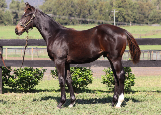 Lot 424: Yes Yes Yes / High Heaven