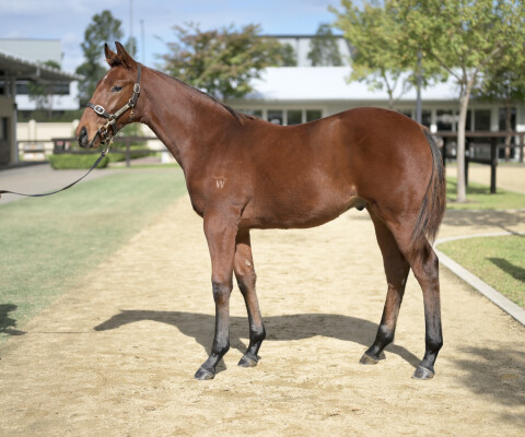 Lot 126: Hitotsu / Sidewalk Sinner