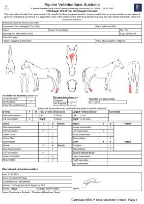 Breeding Report for Lot 252