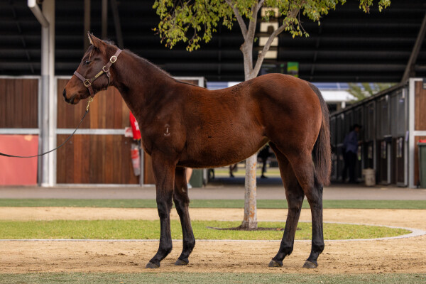 Lot 151: Tassort / Stashes