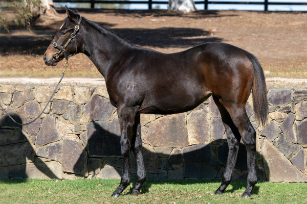 Lot 450: Peltzer / Izzajewel