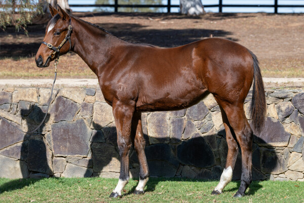 Lot 511: Daumier / Love Las Vegas