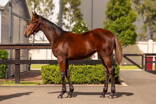 Lot 181: Stay Inside / Taya