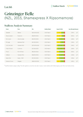 Lot 66: Shamexpress (NZ) / Ripsomemore (NZ)