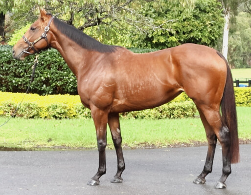 Lot 3: Pierro / Without Exception