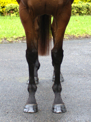 Lot 3: Pierro / Without Exception