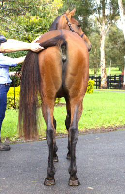 Lot 3: Pierro / Without Exception