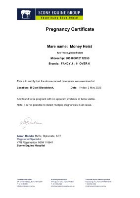 Pregnancy Certificate for Lot 302