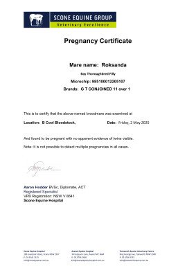 Pregnancy Certificate for Lot 213