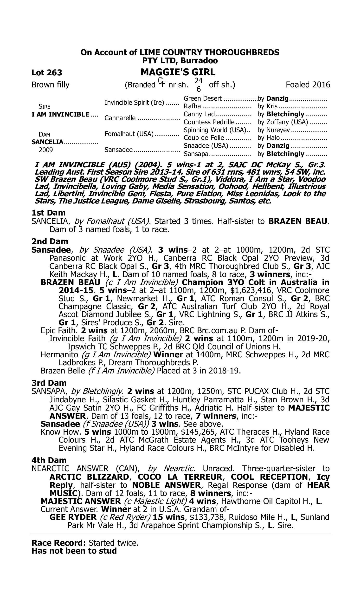 Pedigree for Lot 263 I Am Invincible - Sancelia