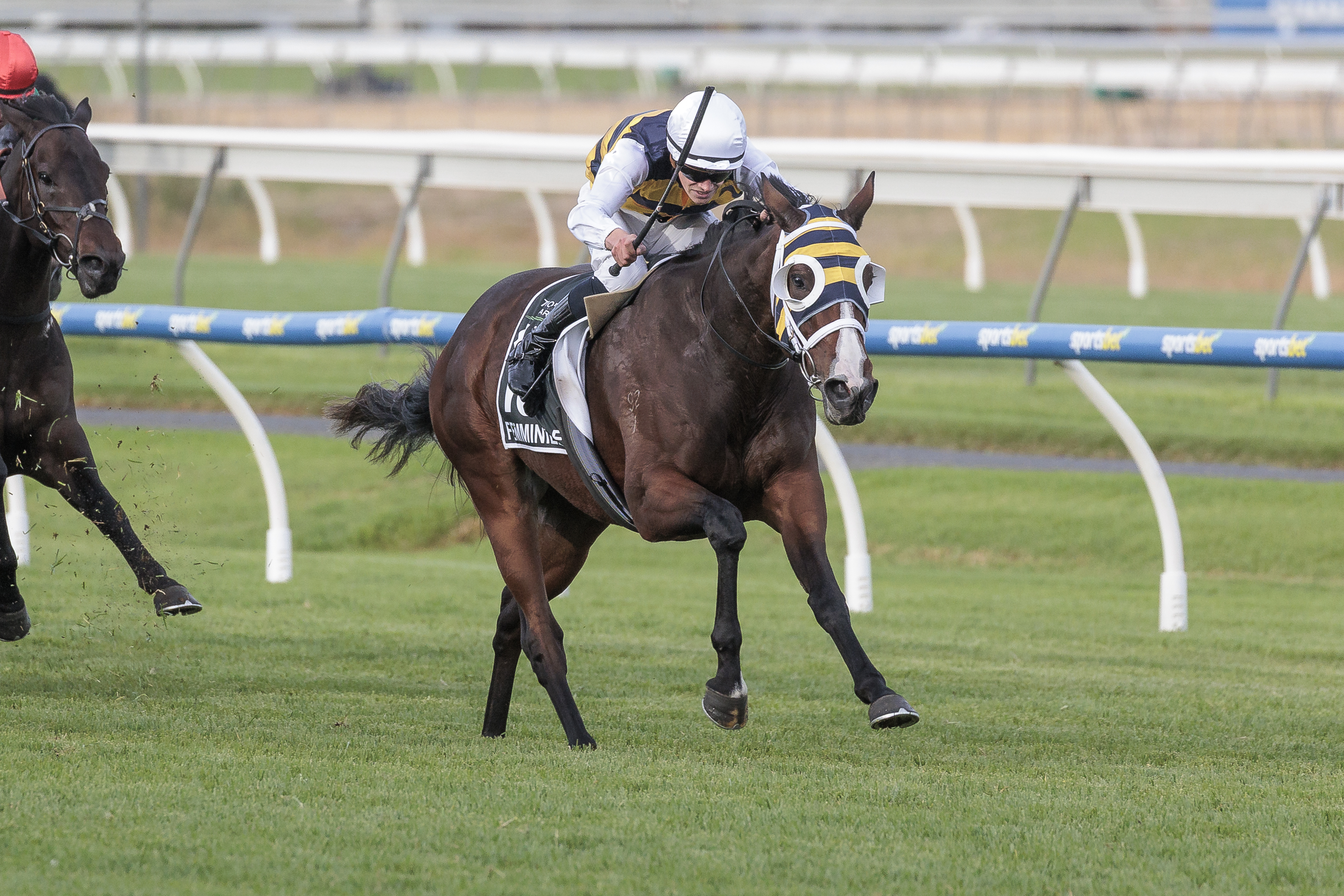 Femminile wins G1 SA Derby on huge day for Inglis graduates