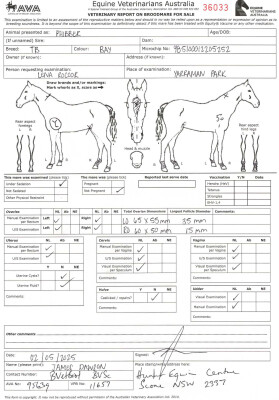 Breeding Report for Lot 2