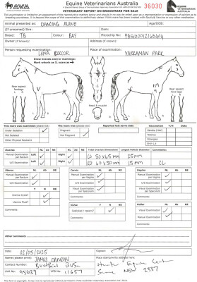 Breeding Report for Lot 51