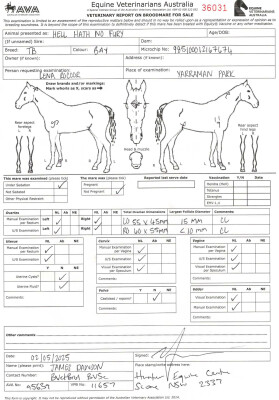 Breeding Report for Lot 67