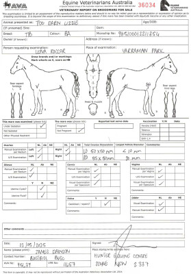Breeding Report for Lot 17