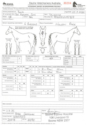 Breeding Report for Lot 90