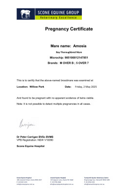 Pregnancy Certificate for Lot 245