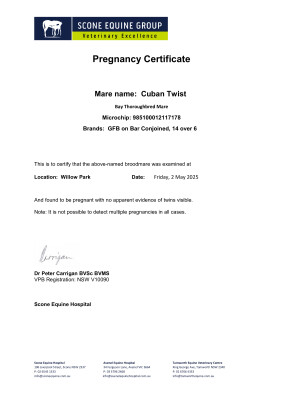 Pregnancy Certificate for Lot 259