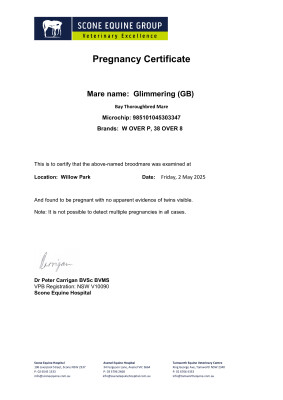 Pregnancy Certificate for Lot 277